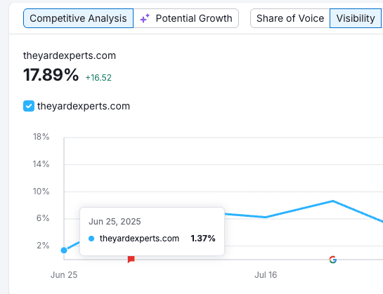 Google Visibility Growth